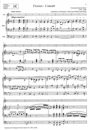 Notenbeispiel Flötenkonzert